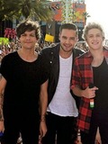 Louis, Liam, and Niall